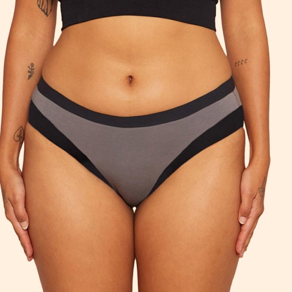 🔥thinx Modal Cotton Bikini Sz 4X New